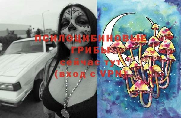 синтетический гашиш Богородск