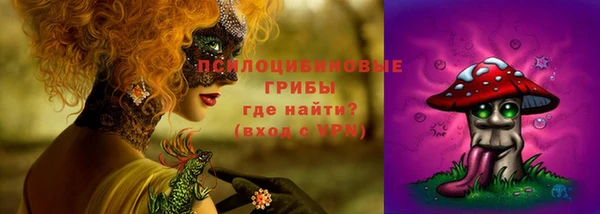 синтетический гашиш Богородск