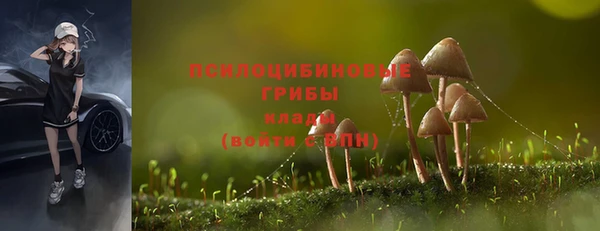 дживик Богданович