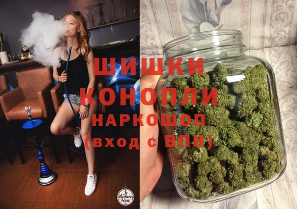 дживик Богданович