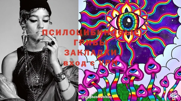 дживик Богданович