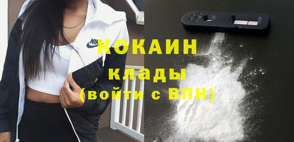дживик Богданович