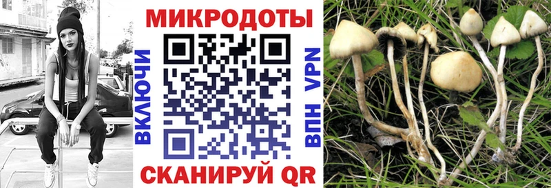 Галлюциногенные грибы Magic Shrooms  МЕГА ONION  Юрга 